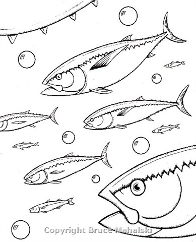 31 -Bluefin tuna-picture